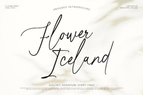 Flower Iceland: A Designer's Honest Review for Real Projects