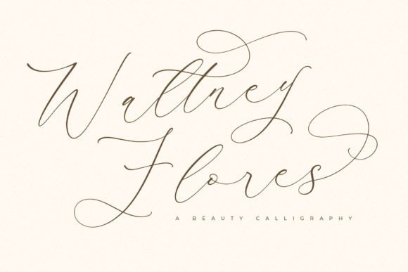 Waltney Flores: The Modern Script Typeface for Elevated Web Design
